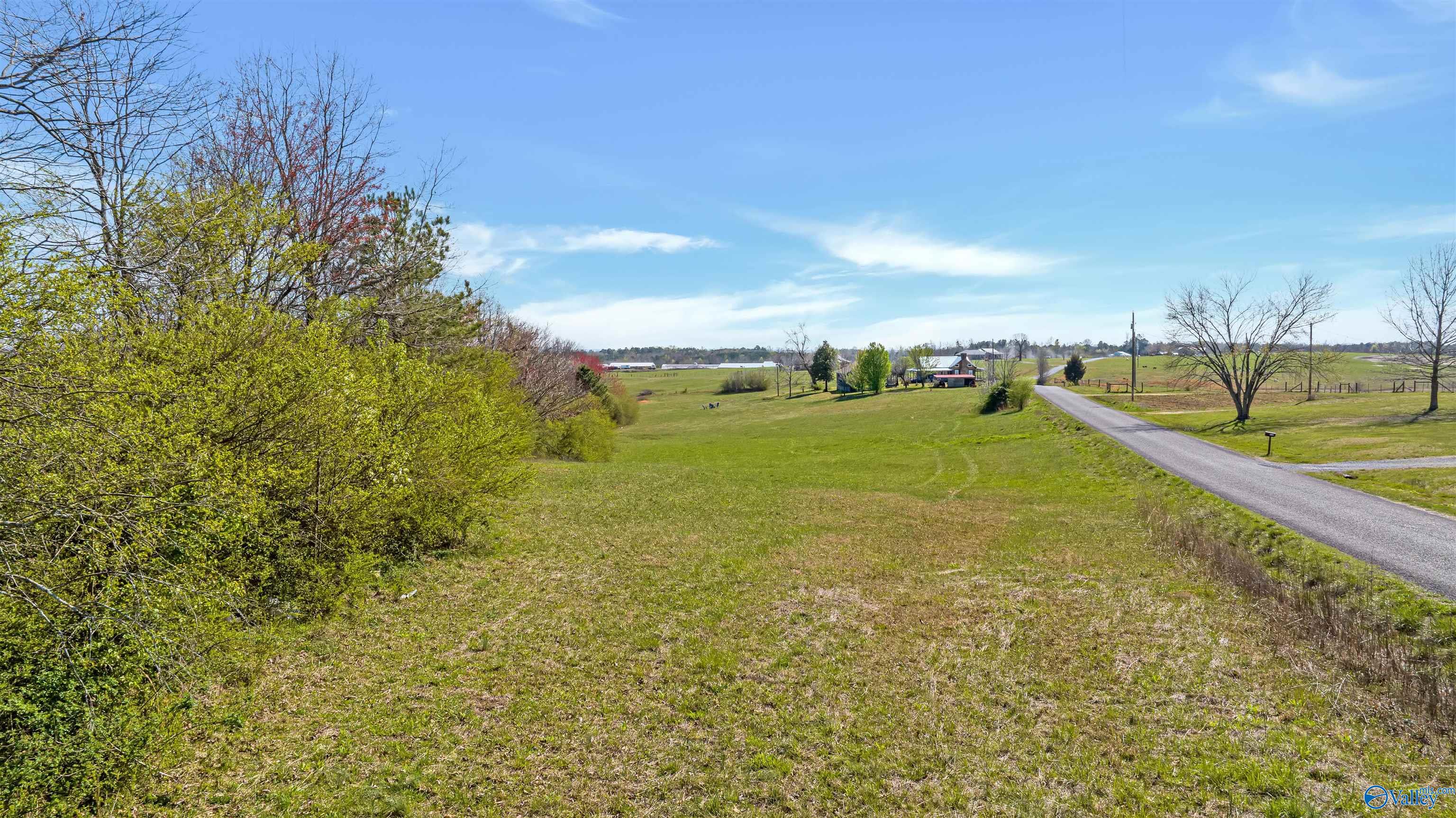 297 County Road 714, Valley Head, Alabama image 47