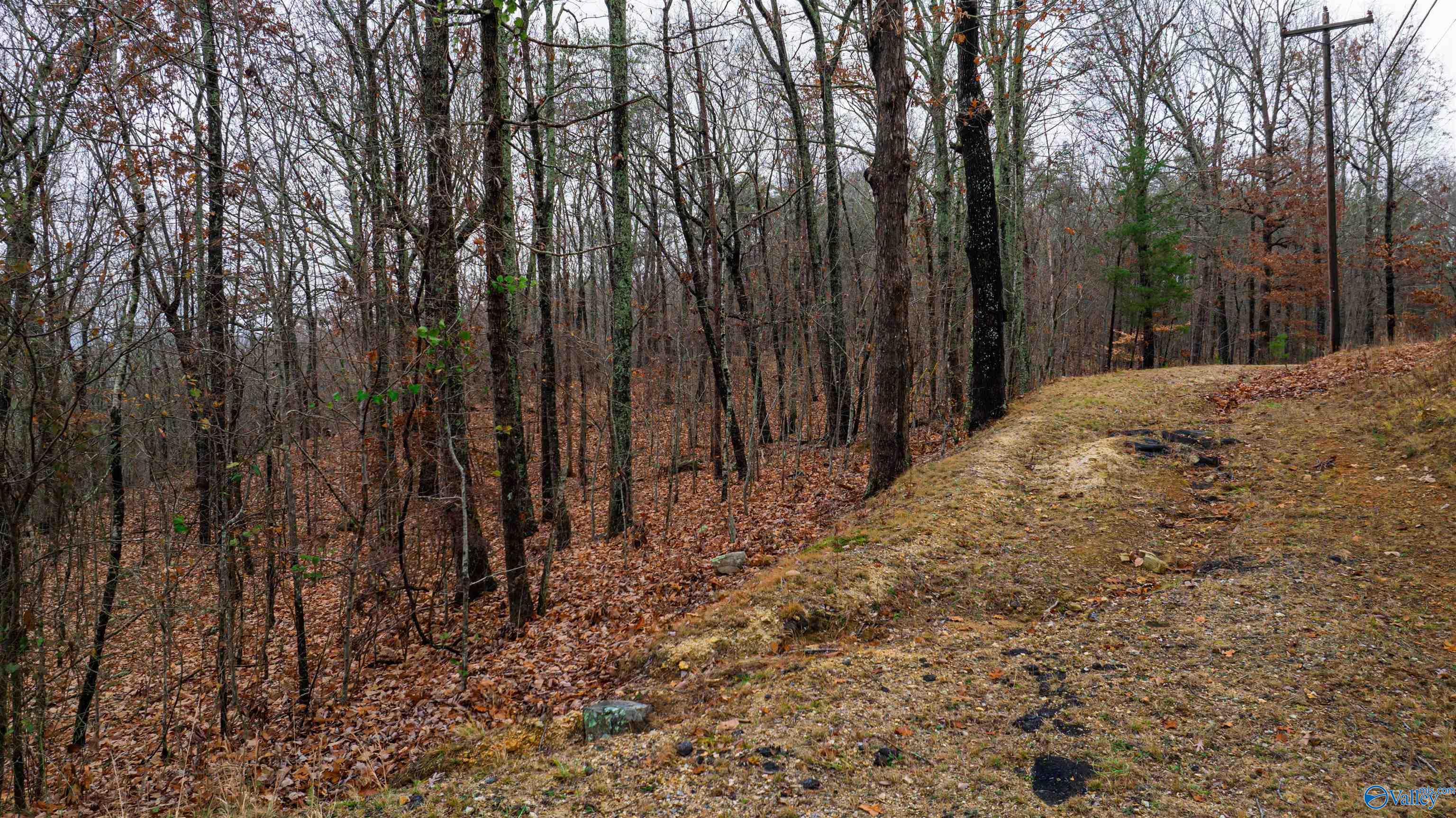 Lots Shady Lane, Fort Payne, Alabama image 5