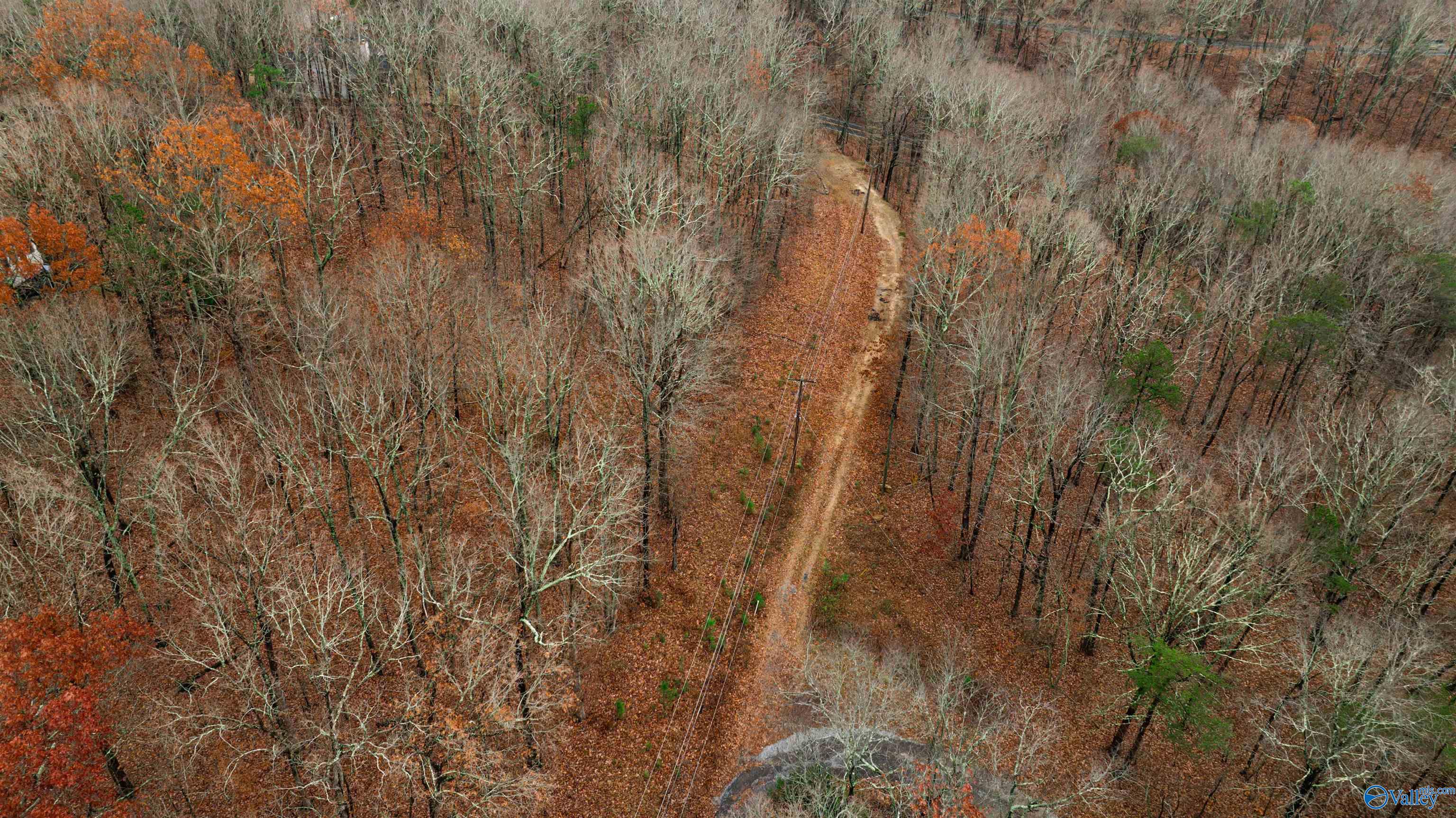 Lots Shady Lane, Fort Payne, Alabama image 12