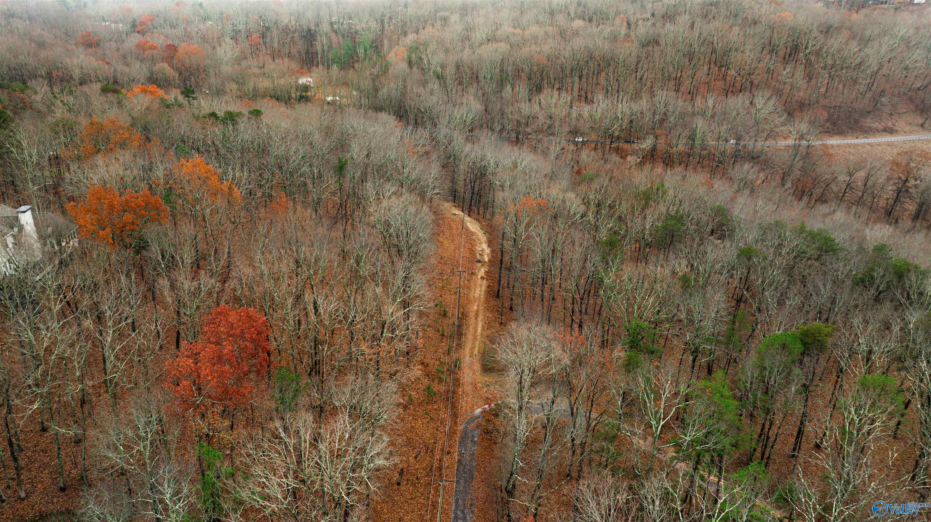 Lots Shady Lane, Fort Payne, Alabama image 13