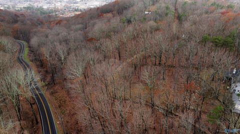 Vacant Land For Sale - LOTS Shady Lane<br/> Fort Payne, AL 35967