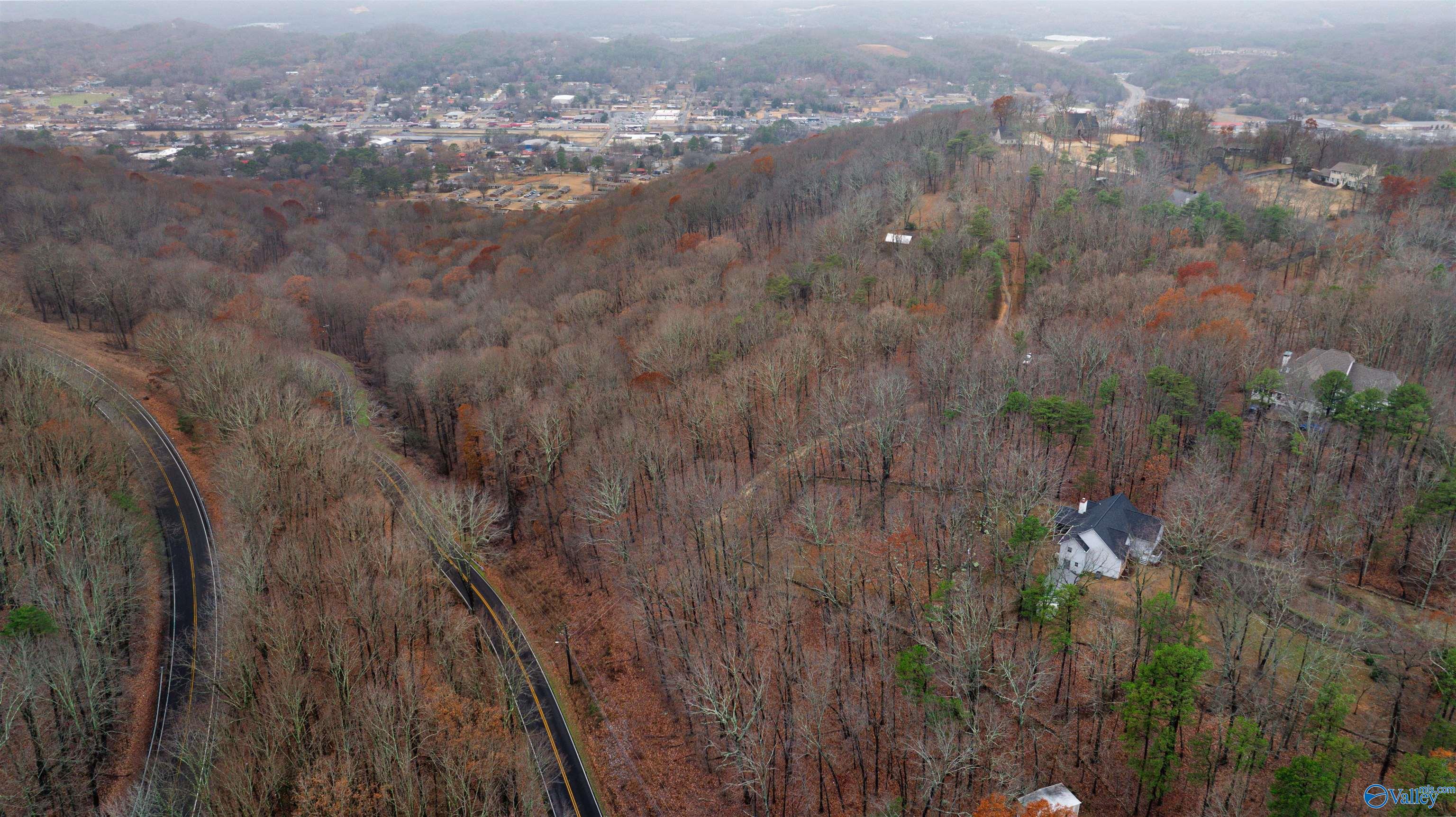 Lots Shady Lane, Fort Payne, Alabama image 9