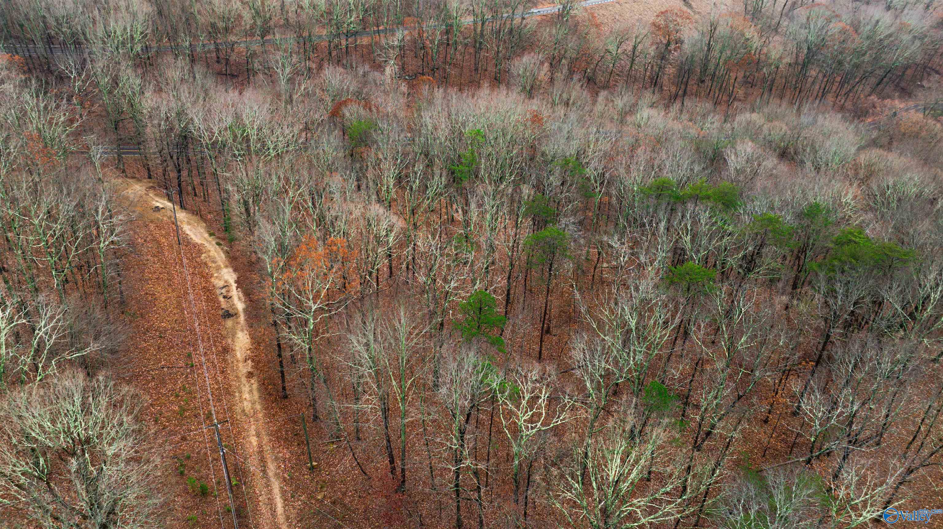 Lots Shady Lane, Fort Payne, Alabama image 14