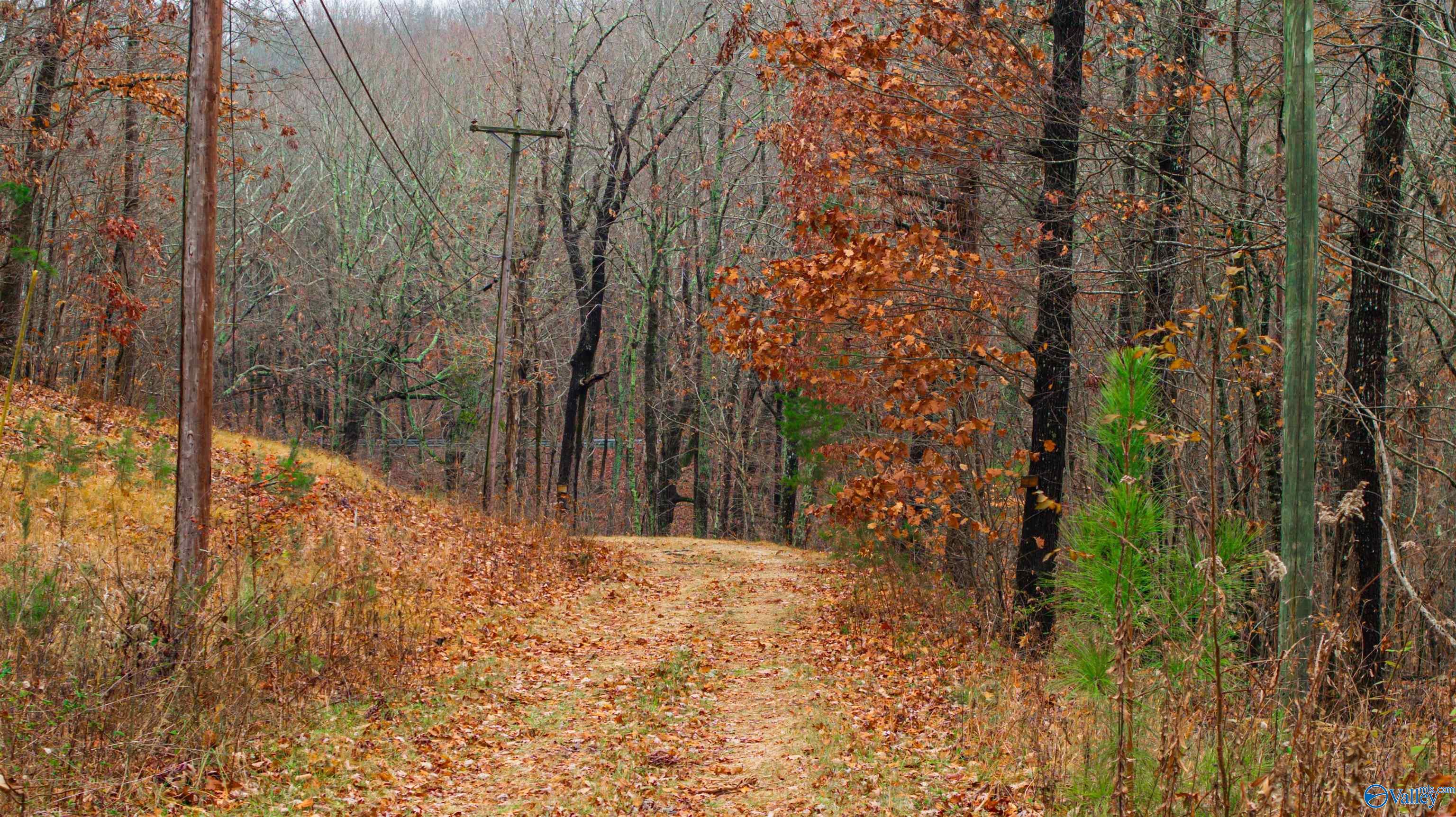 Lots Shady Lane, Fort Payne, Alabama image 3