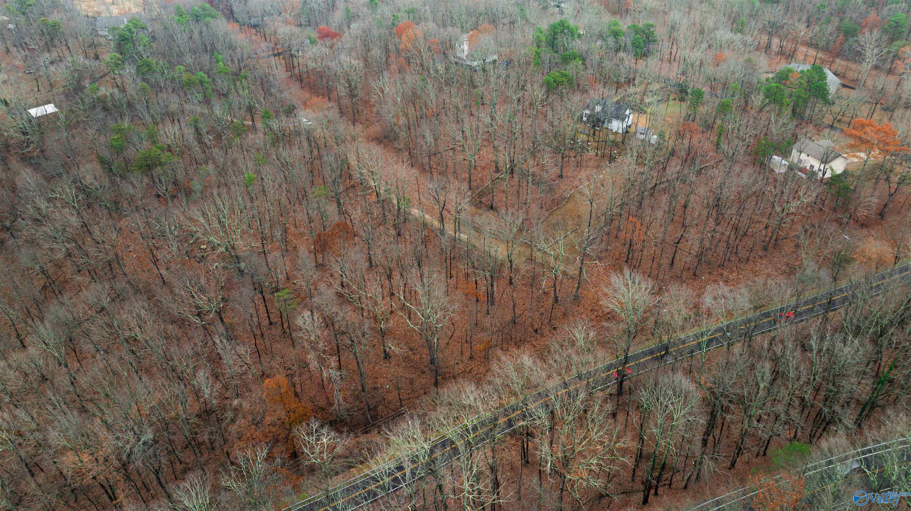 Lots Shady Lane, Fort Payne, Alabama image 8