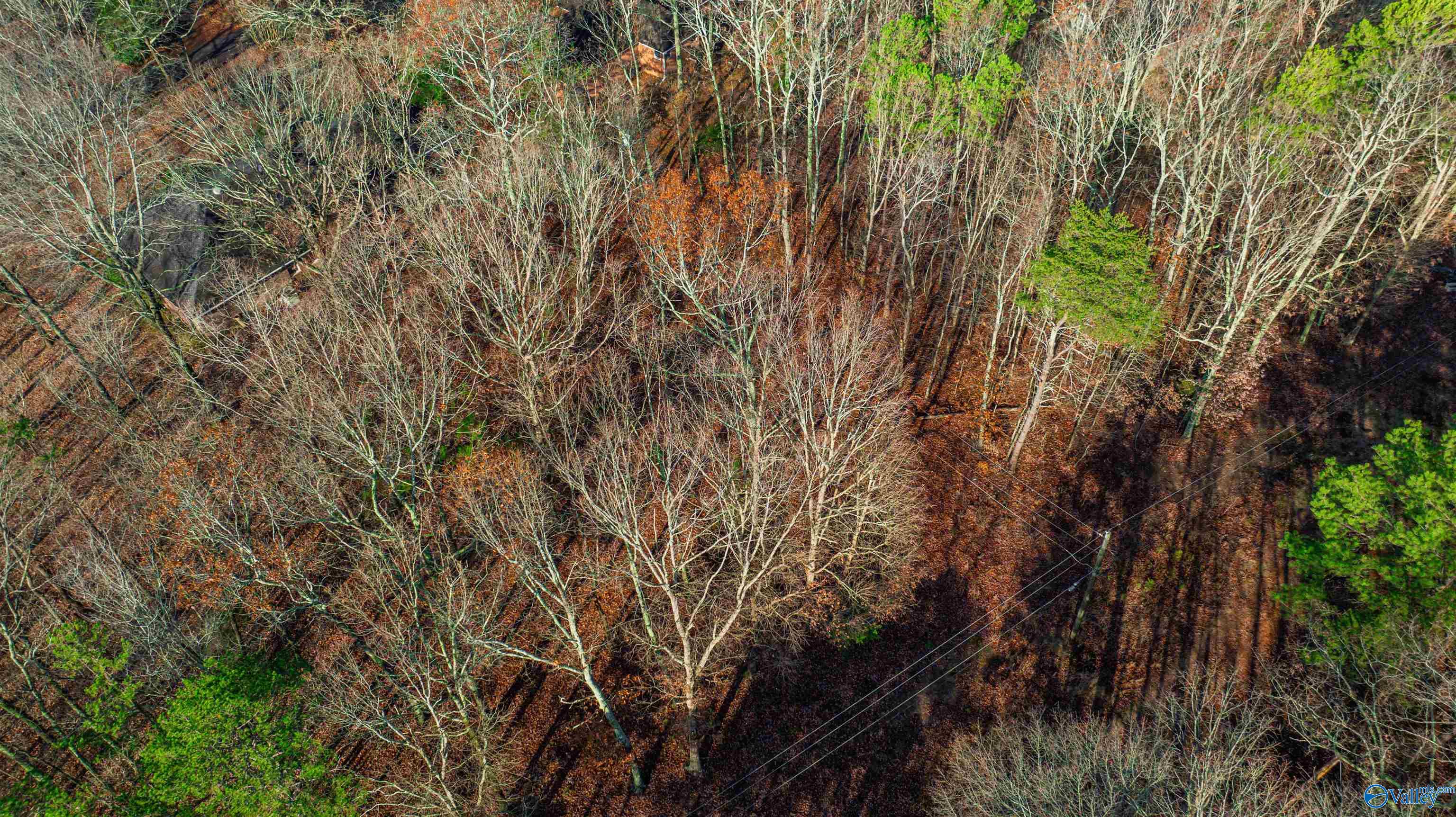 Lots Shady Lane, Fort Payne, Alabama image 16