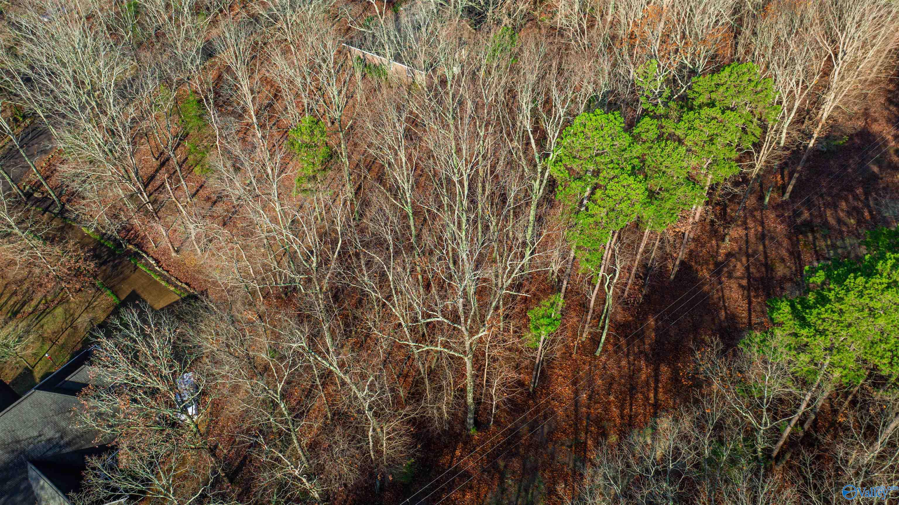 Lots Shady Lane, Fort Payne, Alabama image 15