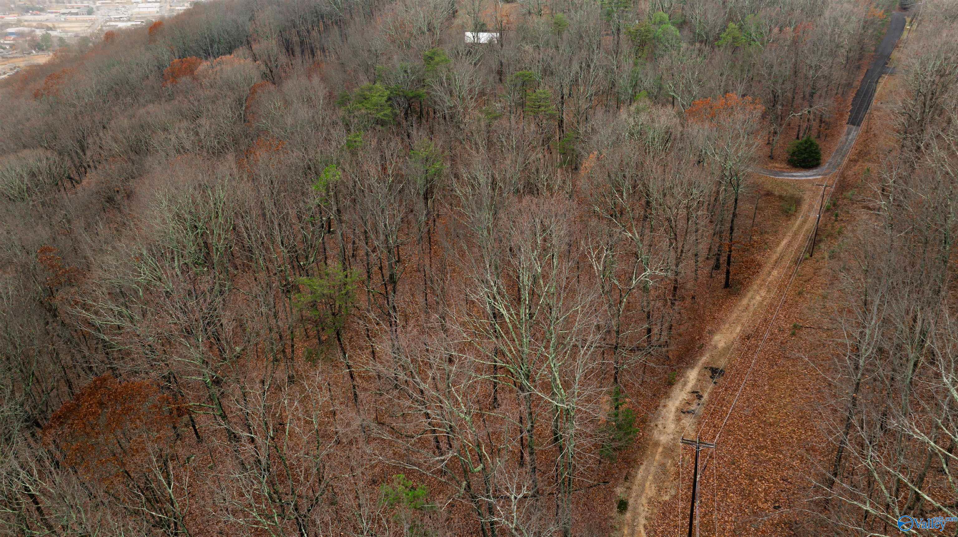 Lots Shady Lane, Fort Payne, Alabama image 11