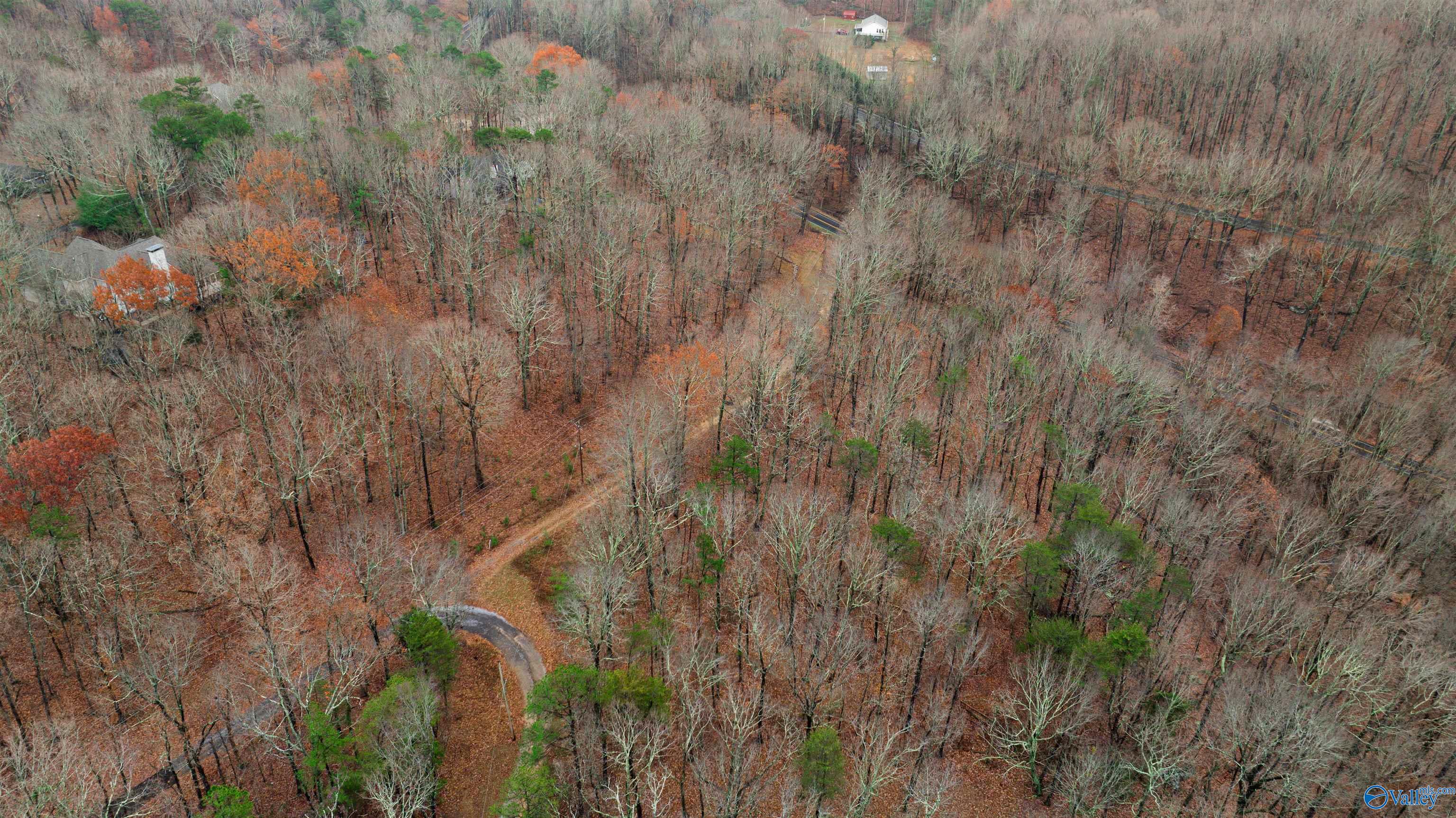 Lots Shady Lane, Fort Payne, Alabama image 6