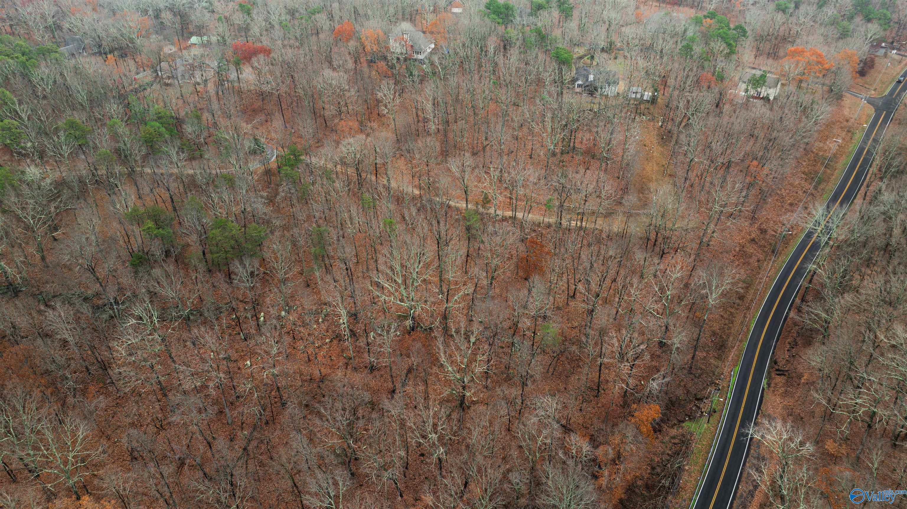 Lots Shady Lane, Fort Payne, Alabama image 7