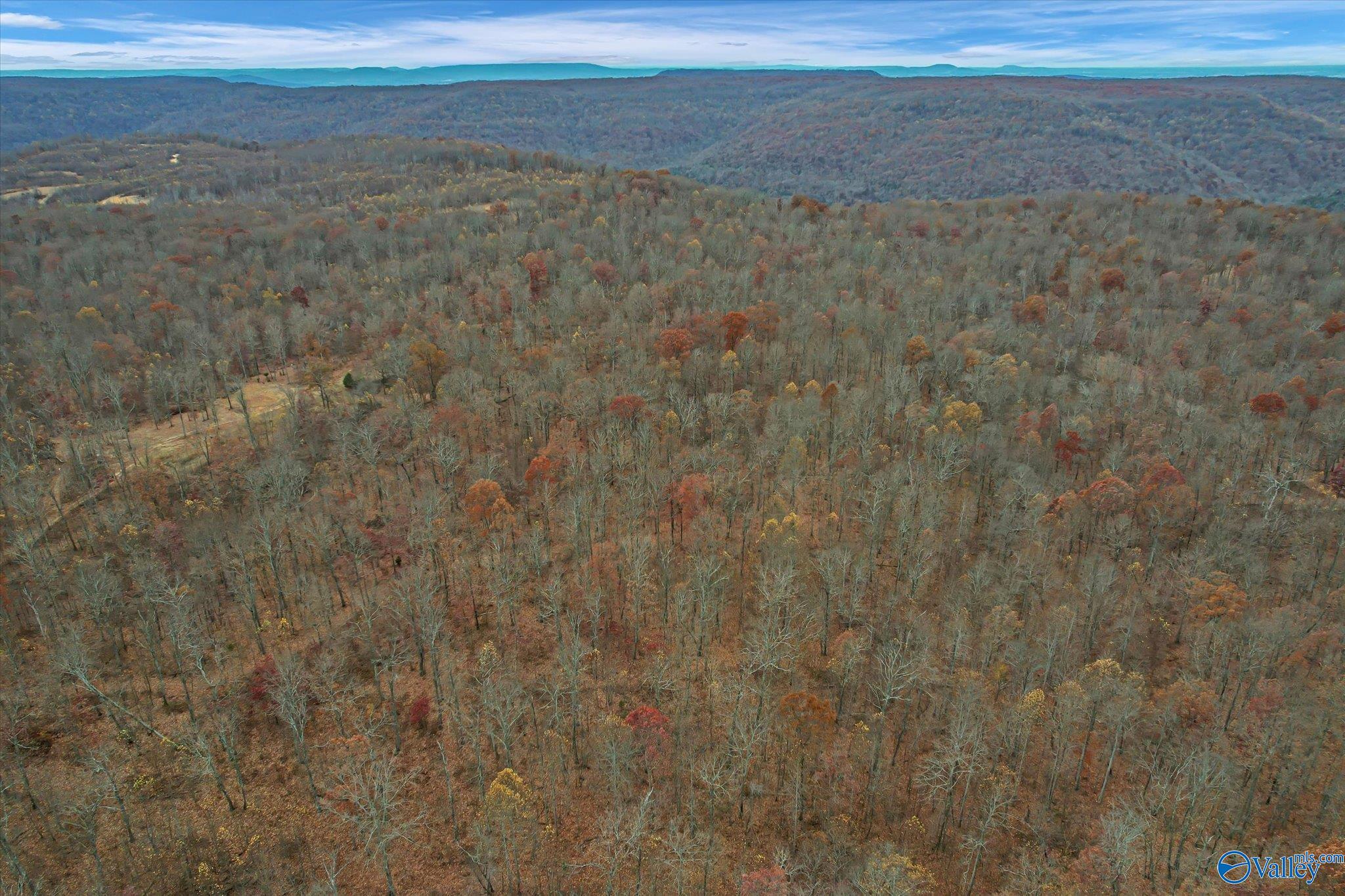 1011 A County Road 303, Princeton, Alabama image 8