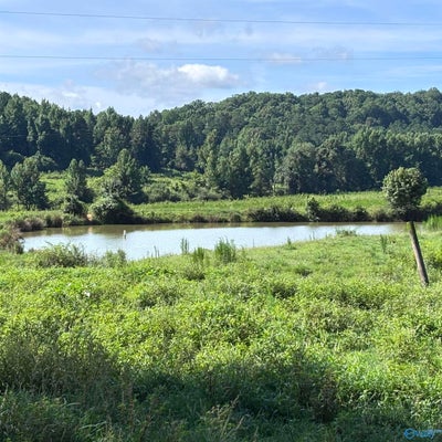 157 COUNTY RD 611, VALLEY HEAD, AL 35989 - Image eb20ea0f4fef45d00466e9eab4058f25/1220022832