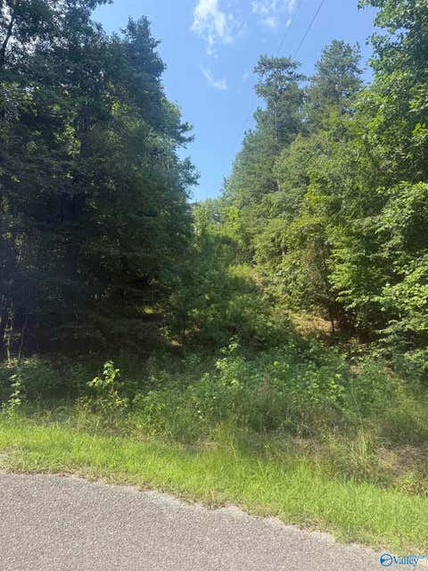 Vacant Land For Sale - PIN 4158 County Road 136<br/> Cedar Bluff, AL 35959
