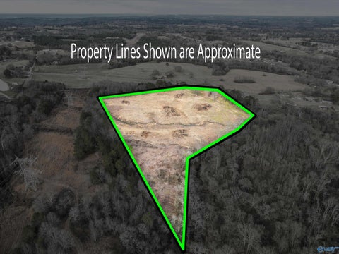 Vacant Land For Sale - 17.2 Goodwin Road<br/> Marshall County County, Albertville, AL 35951