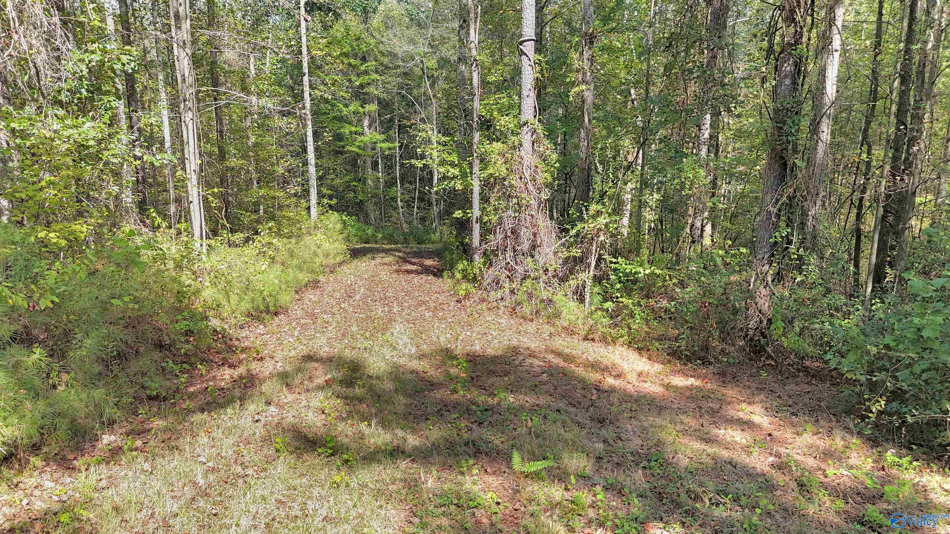 10 Acres Davis Gap Road