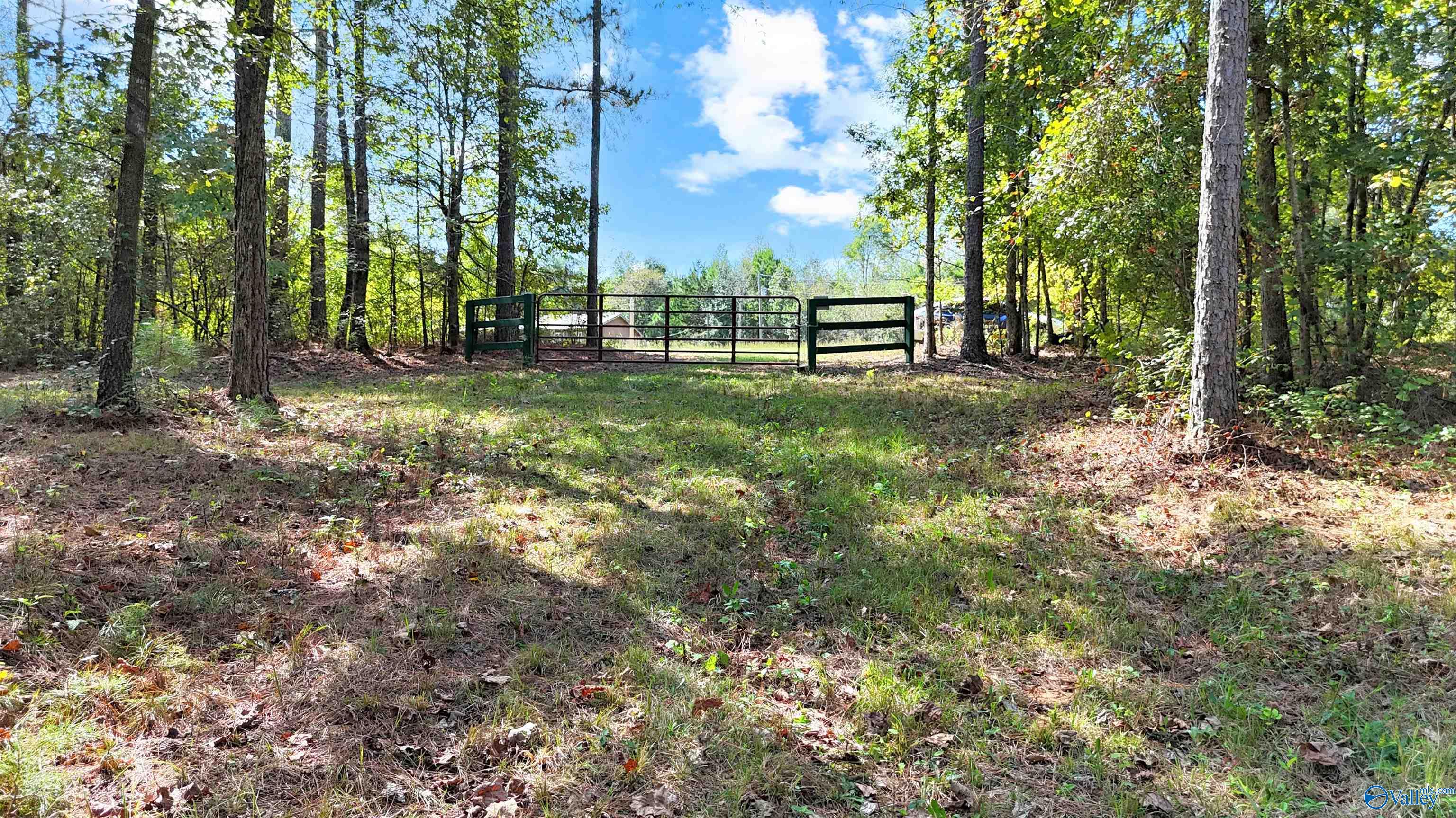 10 Acres Davis Gap Road