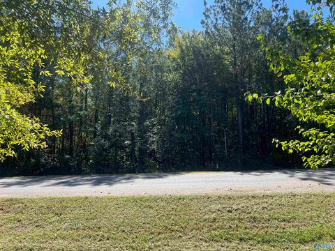 Vacant Land For Sale - TRACTS 1 & PT 2 Summer Breeze Drive<br/> Cherokee County, Cedar Bluff, AL 35959