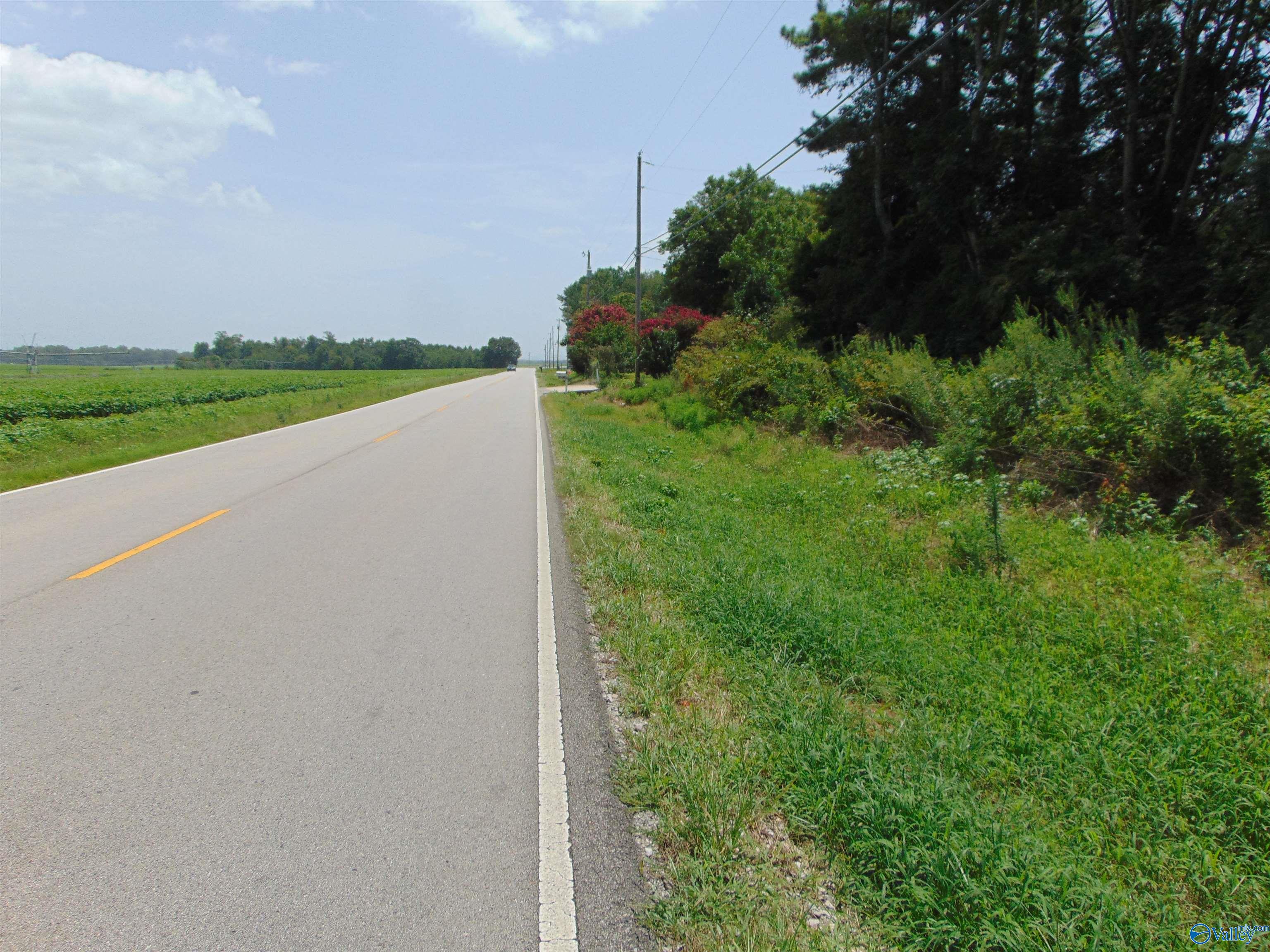 001 NW Pulaski Pike, Toney, Alabama image 8