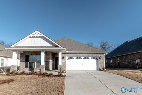 Homes For Rent - 153 Rosemary Ayers Drive<br/> Madison, AL 35756