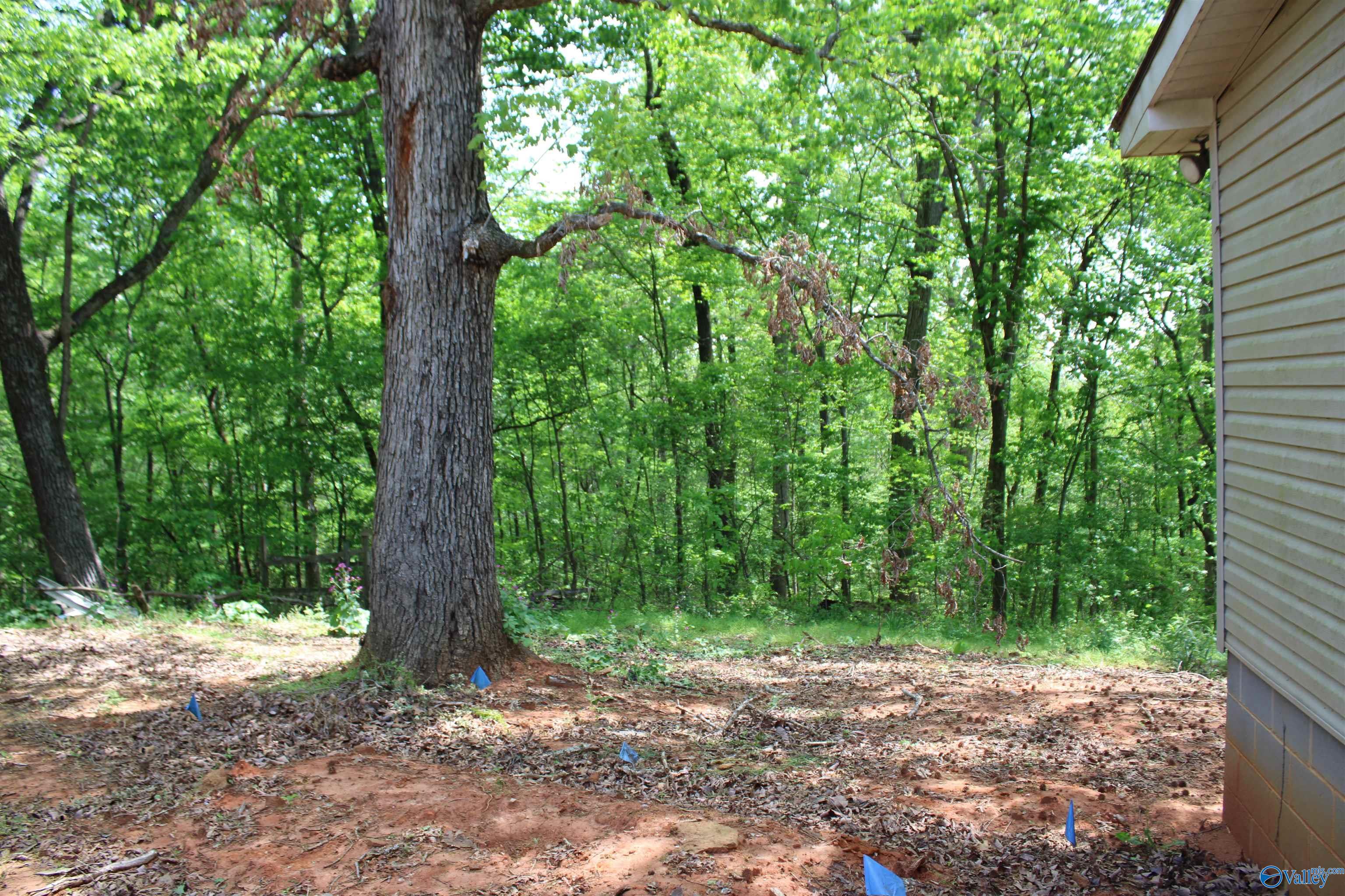 2868 County Road 235, Town Creek, Alabama image 37