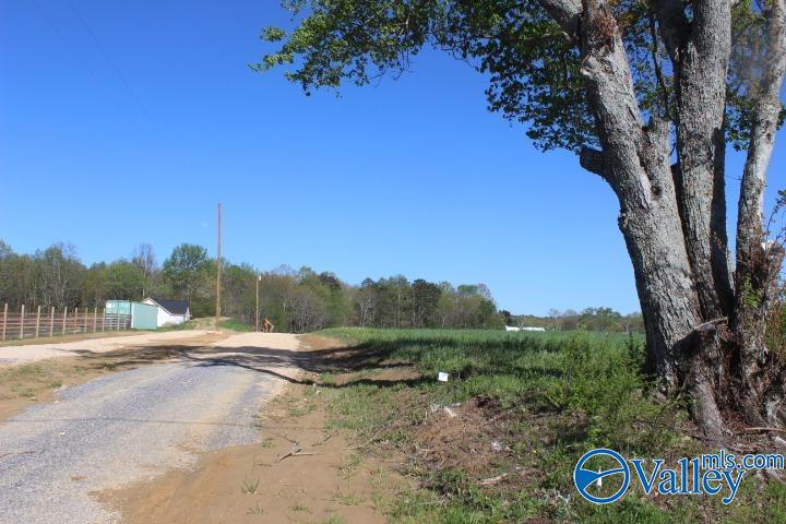 284 Bellview Road, Henagar, Alabama image 2