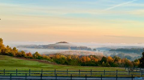 160 Hagood Drive Somerville AL 35670