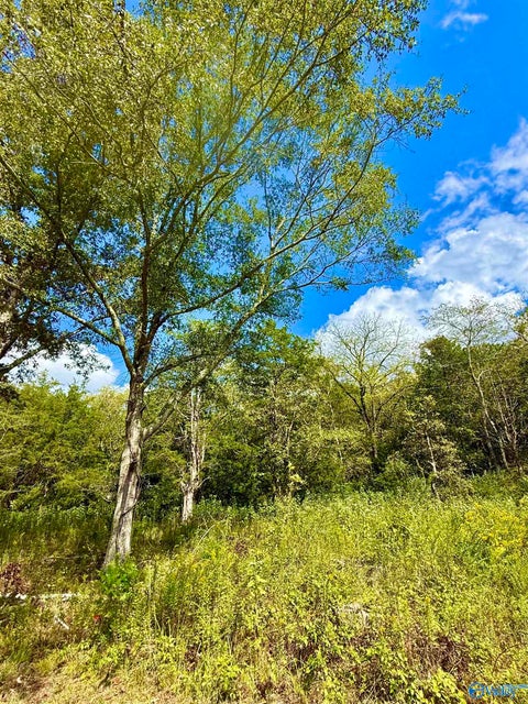 Vacant Land For Sale - 158 Lyons Road<br/> Decatur, AL 35603