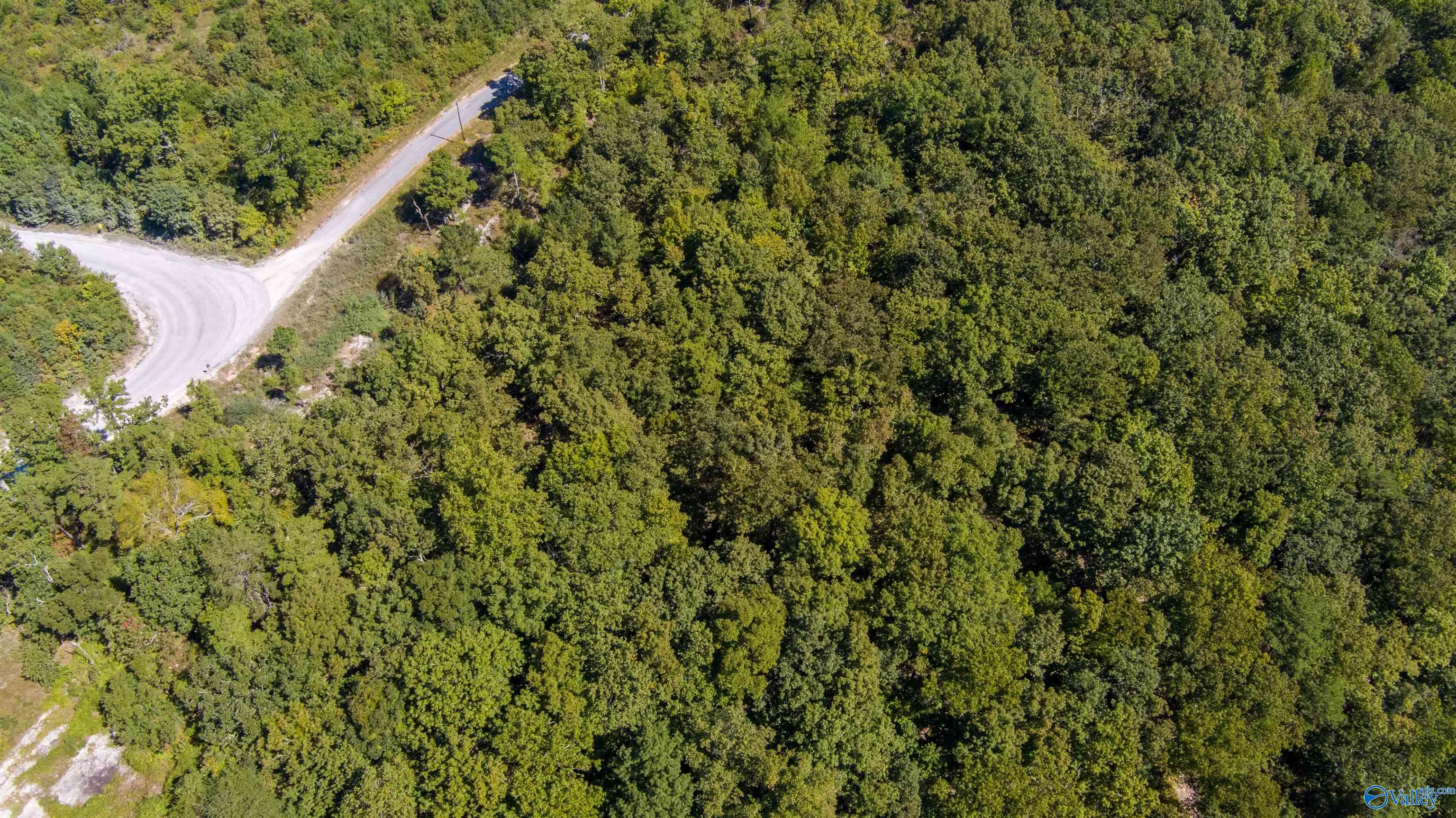 3000 County Road 70, Leesburg, Alabama image 4