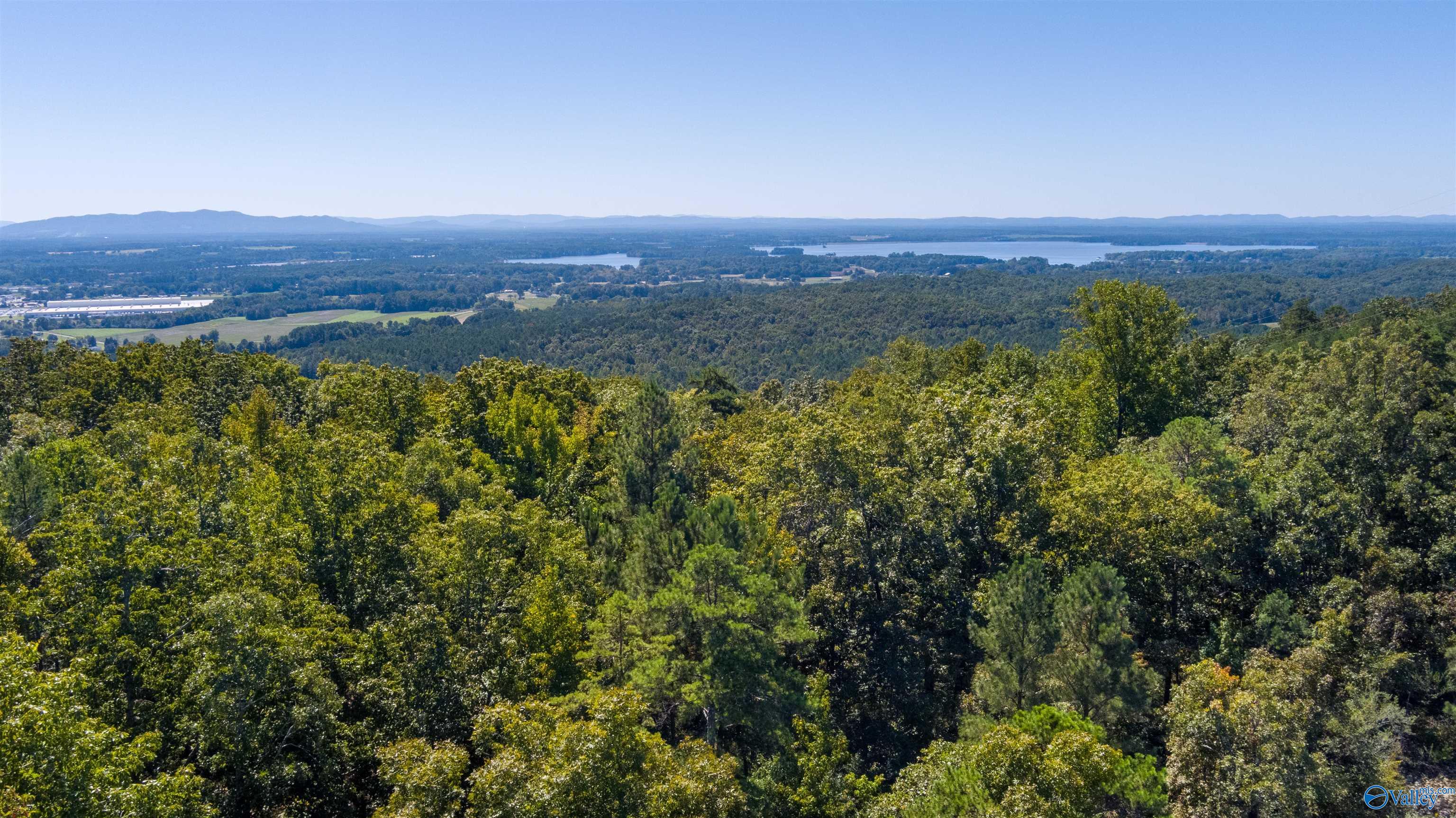 3000 County Road 70, Leesburg, Alabama image 3