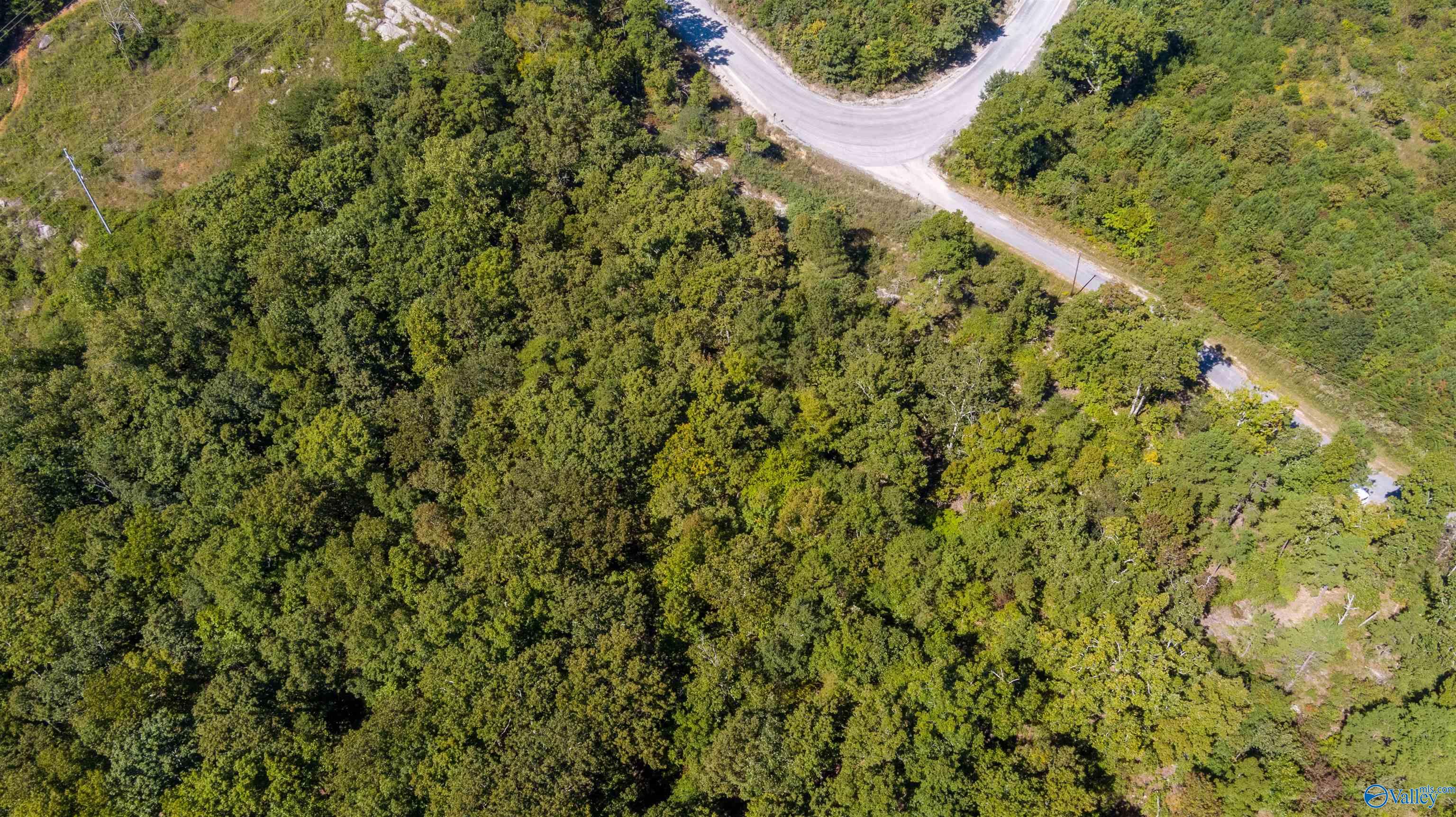 3000 County Road 70, Leesburg, Alabama image 8