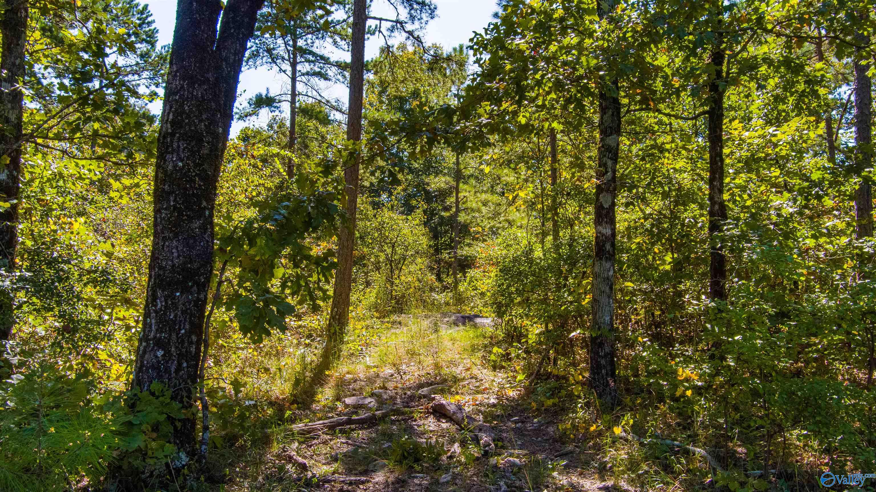 3000 County Road 70, Leesburg, Alabama image 2