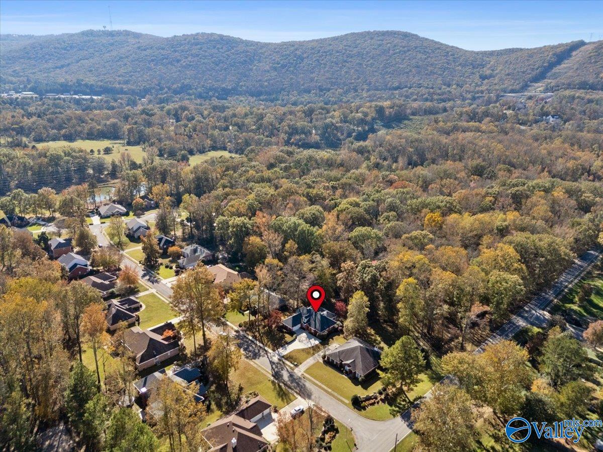 Brownsboro, Alabama 35741, United States, 4 Bedrooms Bedrooms, ,3 BathroomsBathrooms,Residential,Active,240914