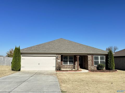 Homes For Sale - 109 Lois Mance Lane<br/> New Market, AL 35761