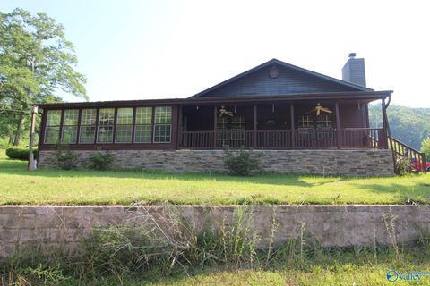 Homes For Sale - 2001 Gaines Road<br/> Blount County, Altoona, AL 35952