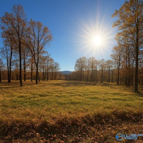 Vacant Land For Sale - 77 Watson Grande Way<br/> Owens Cross Roads, AL 35763