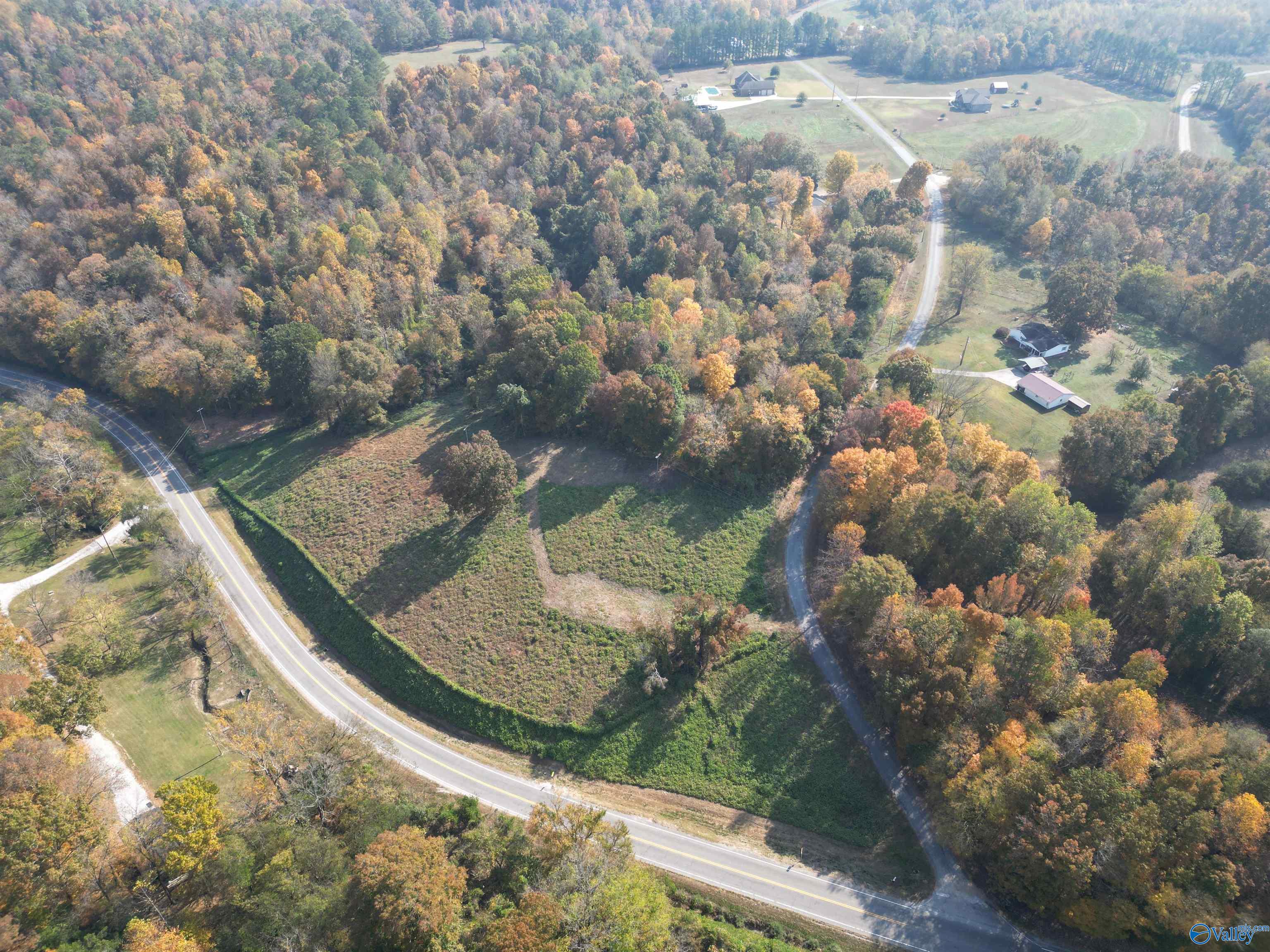 4 Hwy 99, Anderson, Alabama image 6