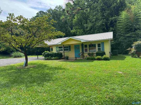 Homes For Sale - 2871 Warrenton Road<br/> Guntersville, AL 35976