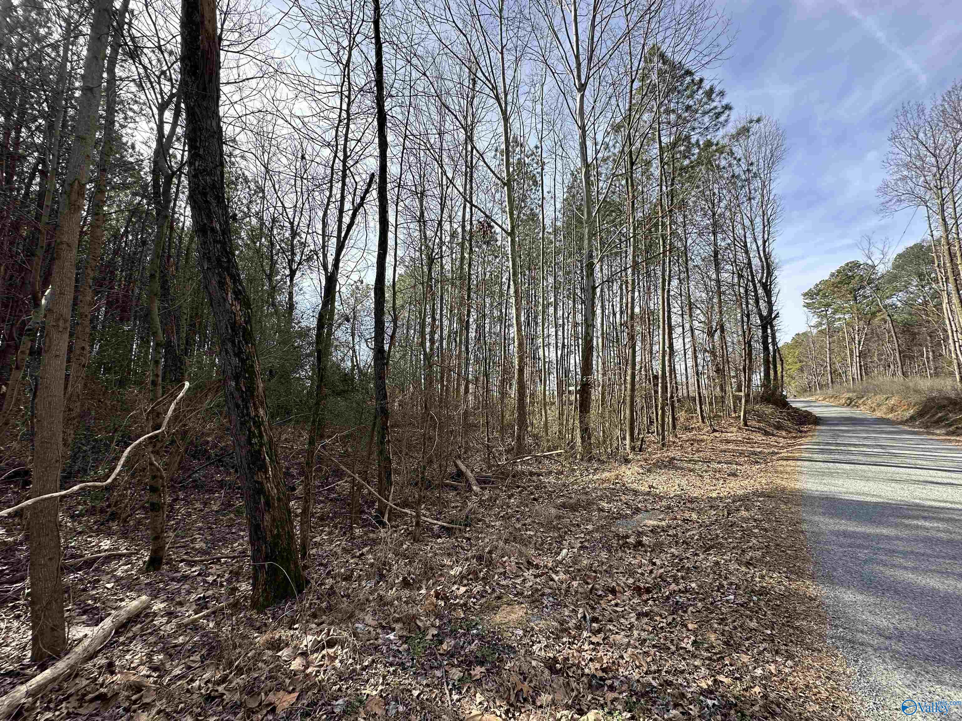 11acres Poplar Springs Road, Albertville, Alabama image 2