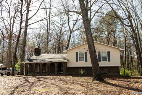 Photo of 1622 Chavies Road, Rainsville, AL 35968 (MLS # 21912799)