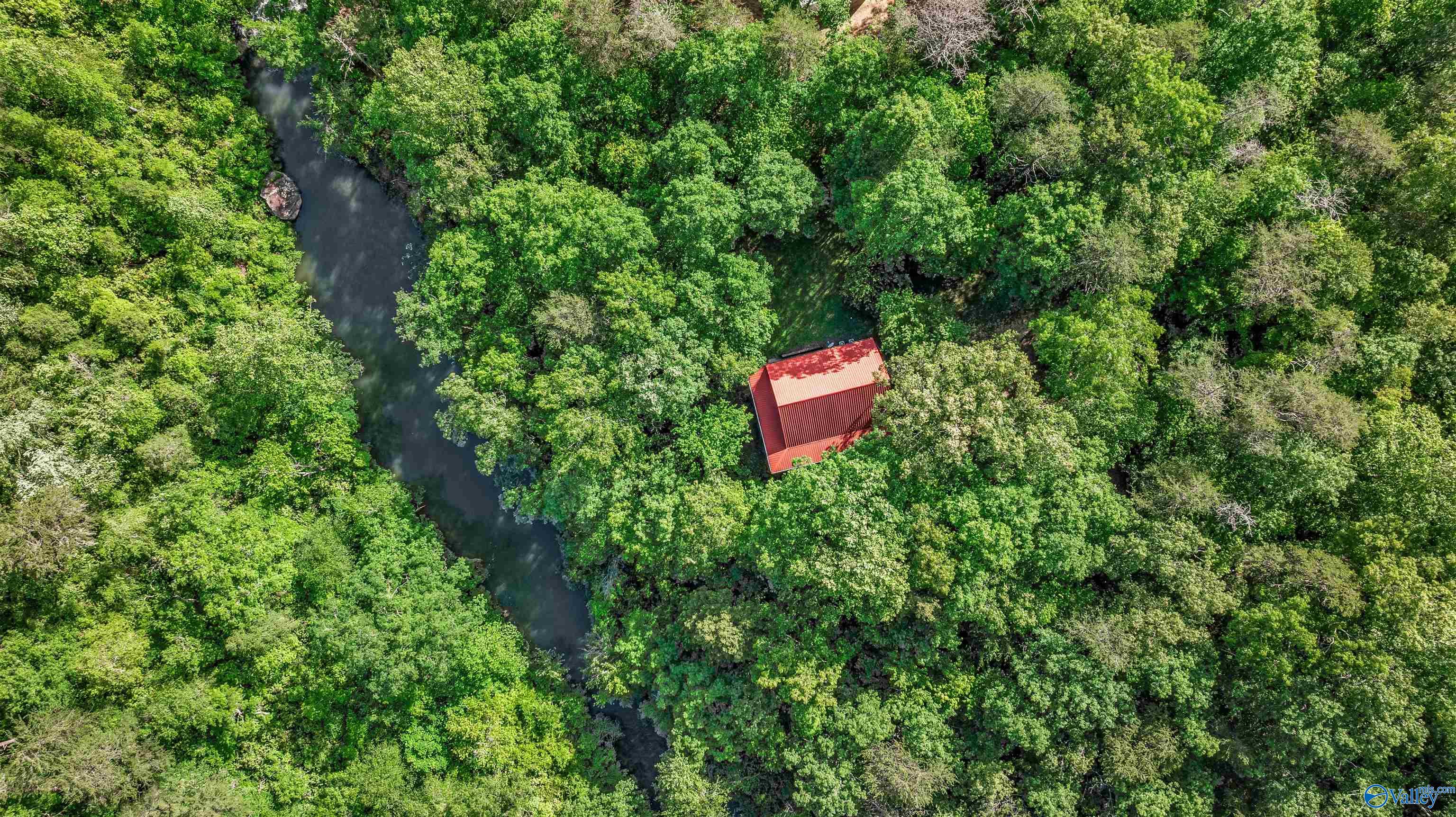 1224 Alabama Highway 117 Ave, Mentone, Alabama image 8