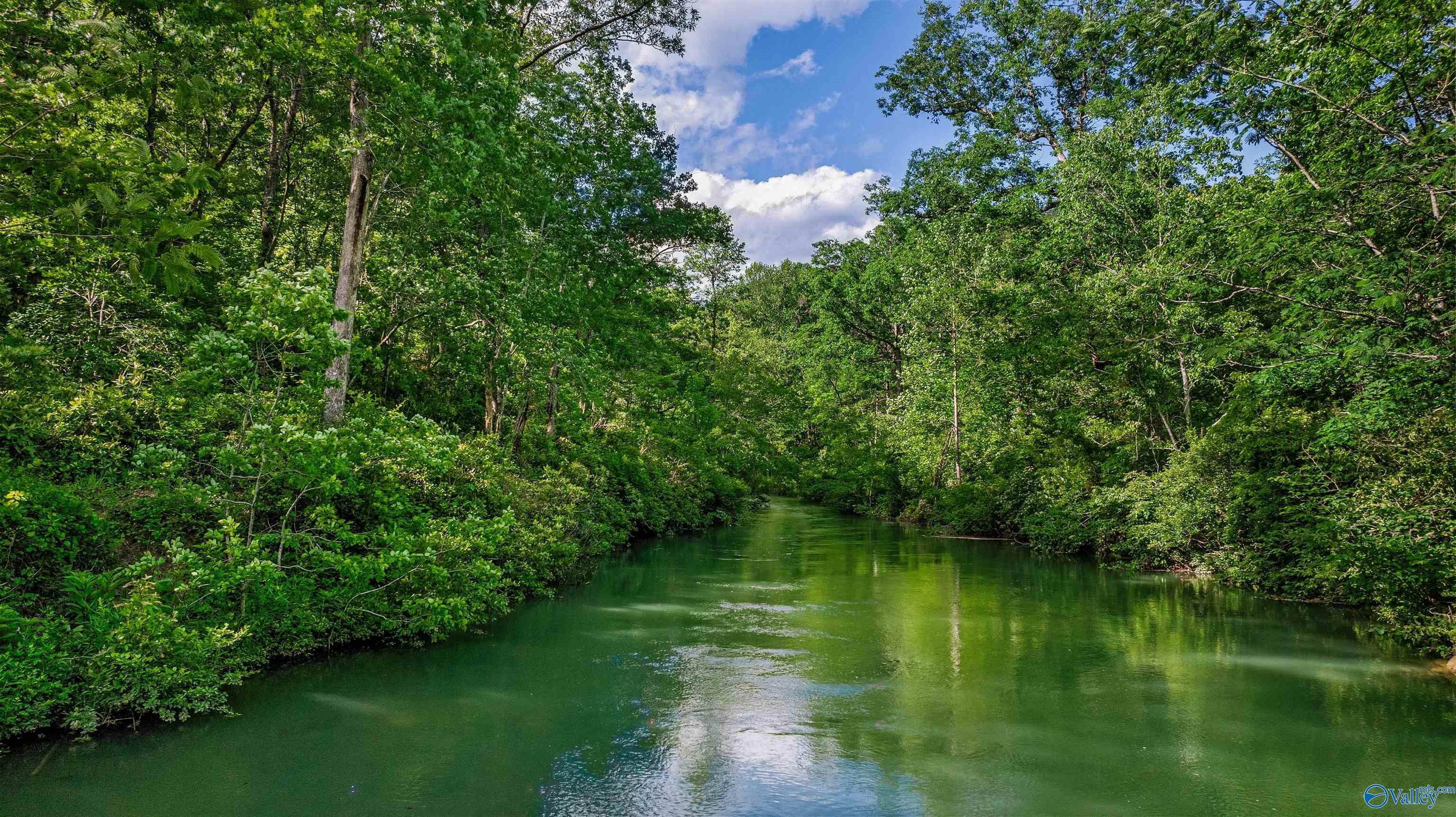 1224 Alabama Highway 117 Ave, Mentone, Alabama image 9
