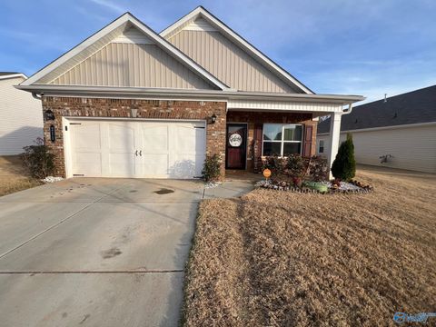 Photo of 211 Fairbrook Drive, New Market, AL 35761 (MLS # 21905245)