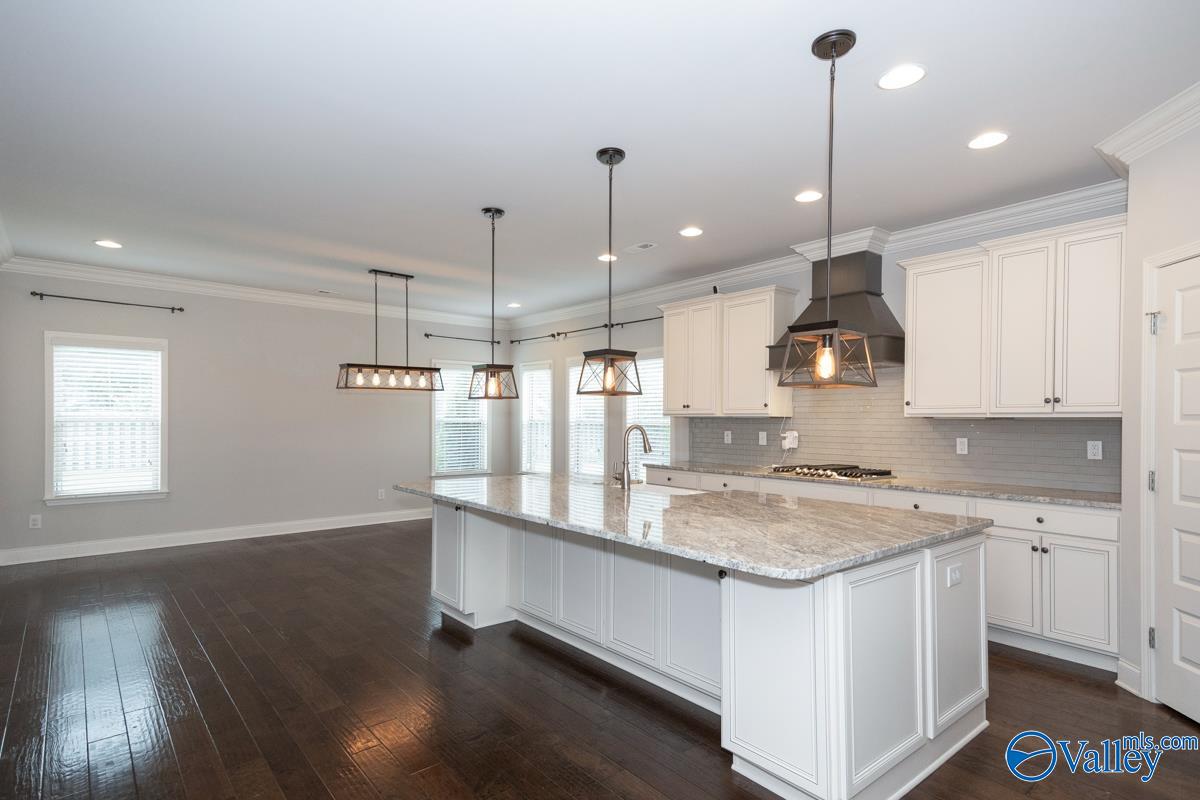 7318 Se Destiny Drive, Owens Cross Roads, Alabama image 14