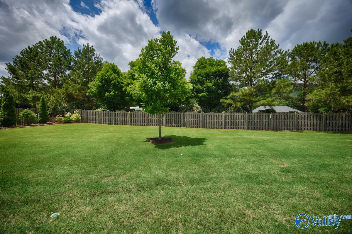 7318 Se Destiny Drive, Owens Cross Roads, Alabama image 49