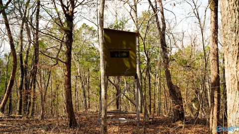 Vacant Land For Sale - 20.5 ACRES County Road 491<br/> Stevenson, AL 35772