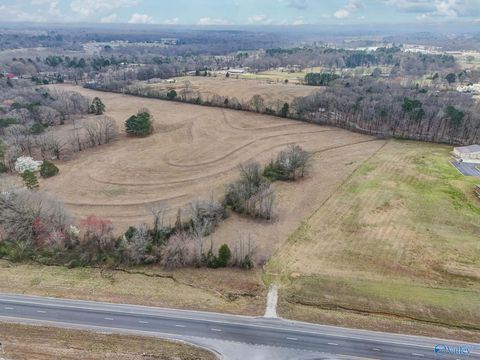 8 +/- Acres Gordon Terry Parkway Trinity AL 35673