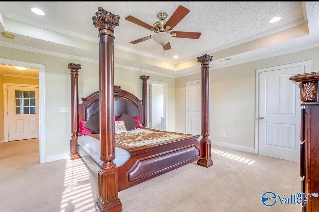 258 Tipton Road, Rogersville, Alabama image 12