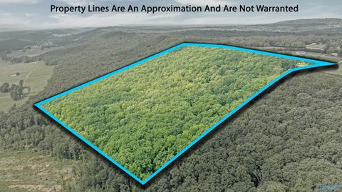 Homes For Sale - 14698 Alabama Highway 117<br/> Henagar, AL 35971