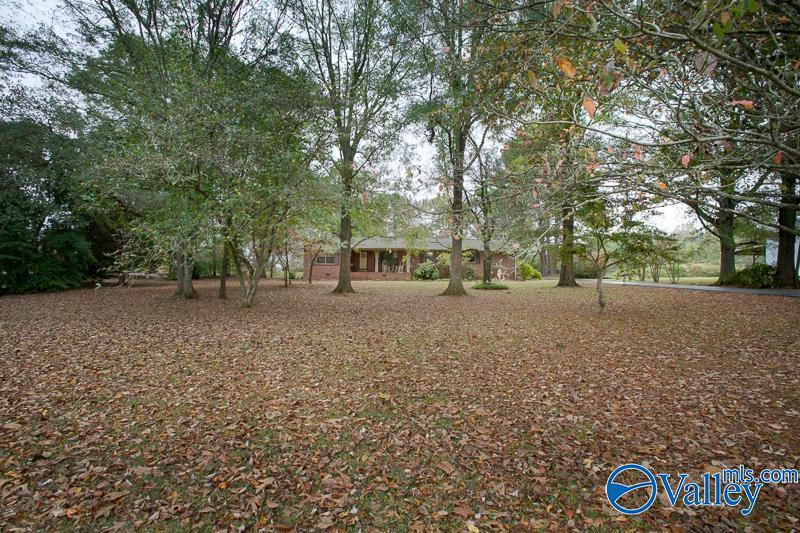 3113 E Upper River Road, Decatur, Alabama image 3