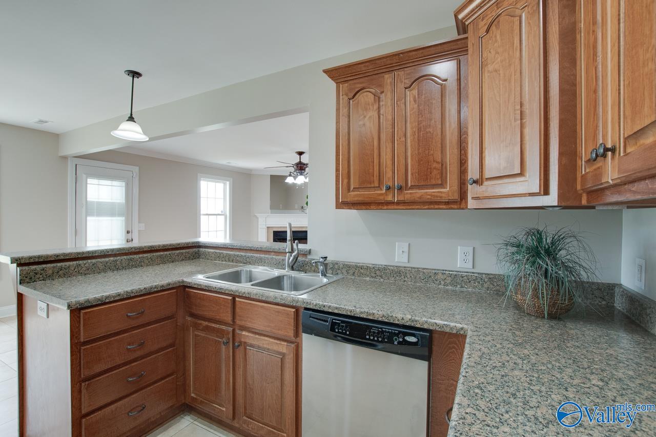 208 Alder Ridge, New Market, Alabama image 16